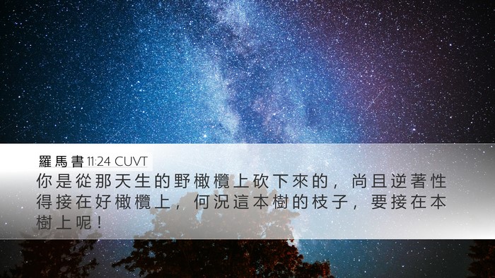 羅 馬 書 11:24 CUVT Bible Verse Image