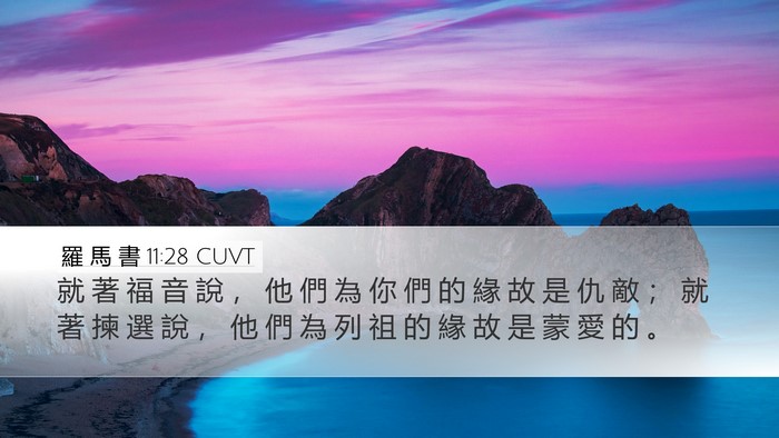 羅 馬 書 11:28 CUVT Bible Verse Image