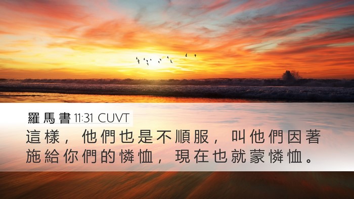 羅 馬 書 11:31 CUVT Bible Verse Image