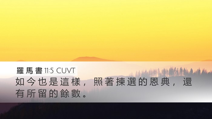 羅 馬 書 11:5 CUVT Bible Verse Image