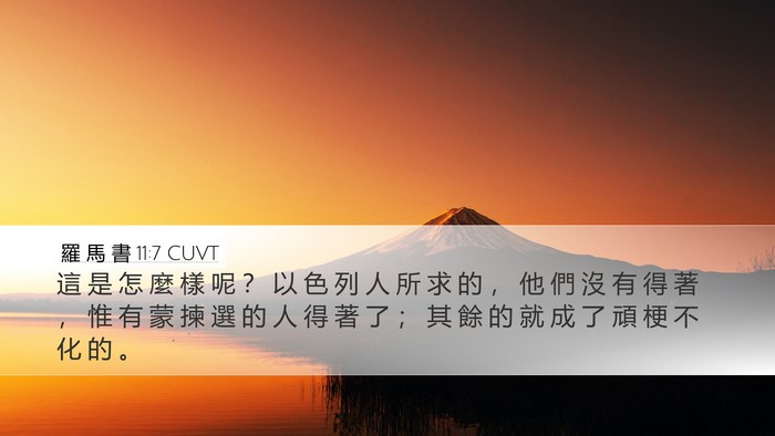 羅 馬 書 11:7 CUVT Bible Verse Image