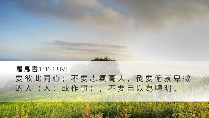 羅 馬 書 12:16 CUVT Bible Verse Image