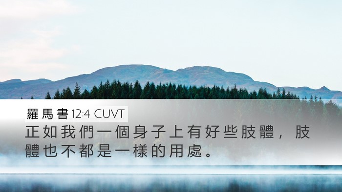 羅 馬 書 12:4 CUVT Bible Verse Image