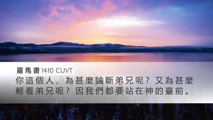 羅 馬 書 14:10 CUVT Bible Verse Image