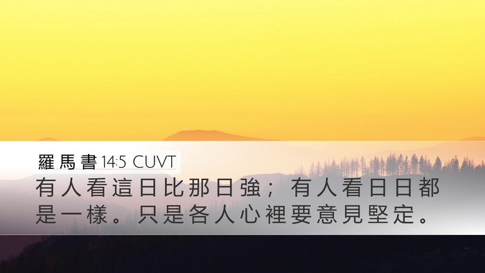 羅 馬 書 14:5 CUVT Bible Verse Image