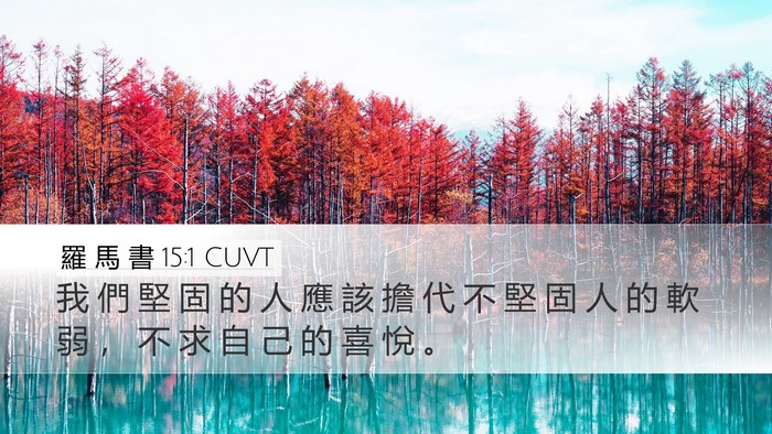 羅 馬 書 15:1 CUVT Bible Verse Image
