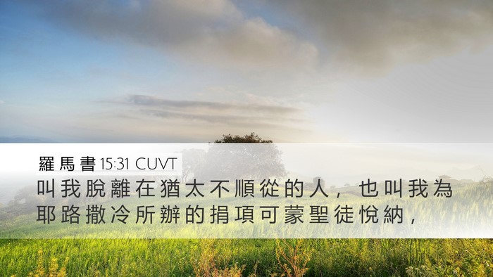 羅 馬 書 15:31 CUVT Bible Verse Image