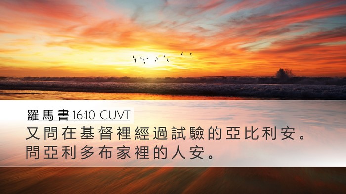 羅 馬 書 16:10 CUVT Desktop Wallpaper - 又 問 在 基 督 裡 經 過 試 驗 的 亞 - Desktop Bible Verse Wallpaper
