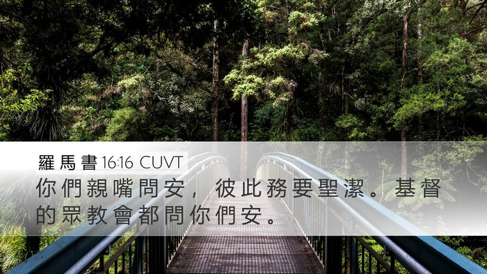 羅 馬 書 16:16 CUVT Bible Verse Image