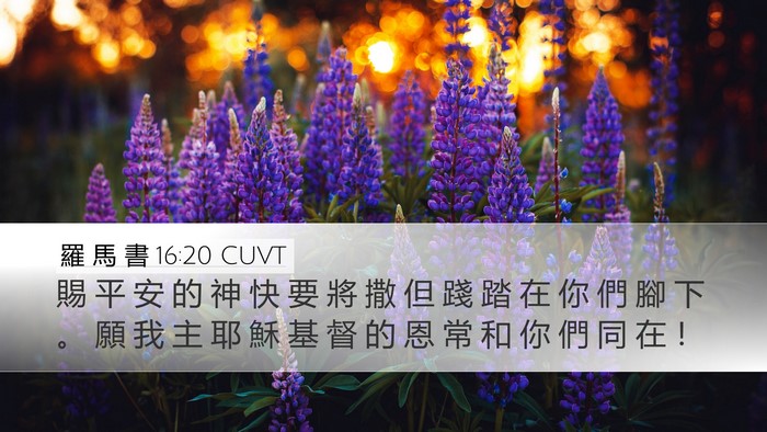 羅 馬 書 16:20 CUVT Bible Verse Image