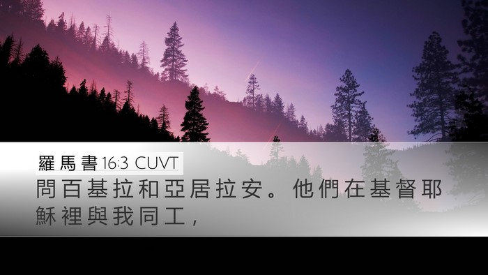 羅 馬 書 16:3 CUVT Bible Verse Image