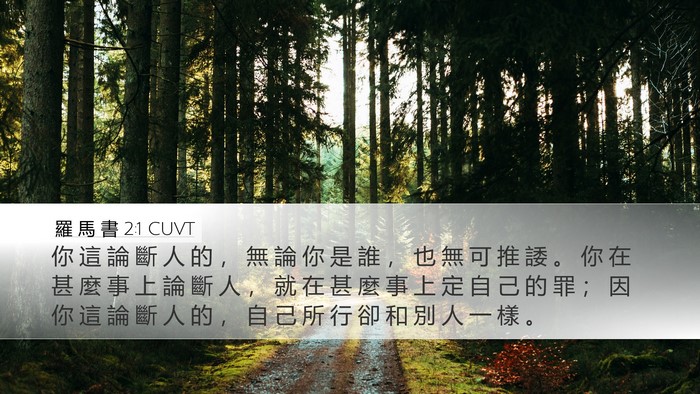 羅 馬 書 2:1 CUVT Bible Verse Image