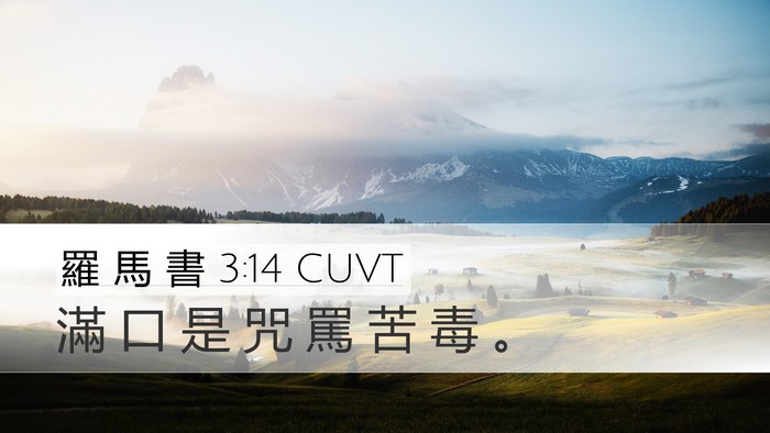 羅 馬 書 3:14 CUVT Desktop Wallpaper - 滿 口 是 咒 罵 苦 毒 - Desktop Bible Verse Wallpaper