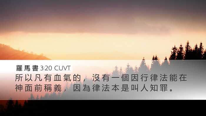 羅 馬 書 3:20 CUVT Bible Verse Image