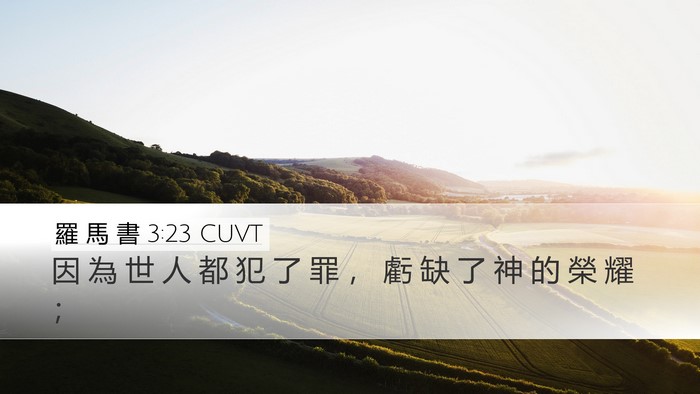 羅 馬 書 3:23 CUVT Bible Verse Image