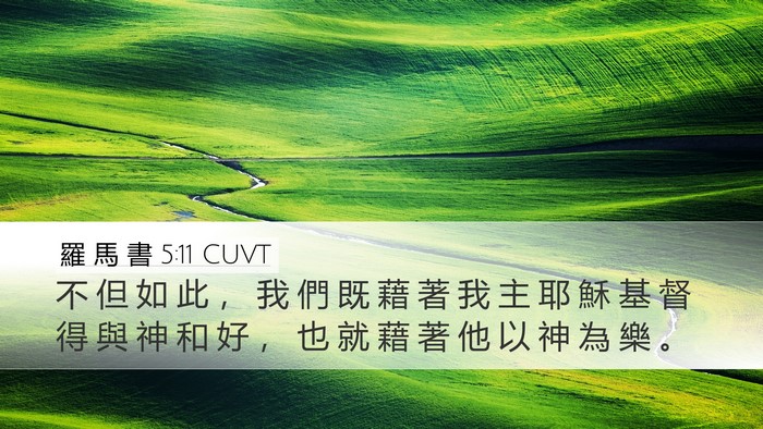 羅 馬 書 5:11 CUVT Bible Verse Image