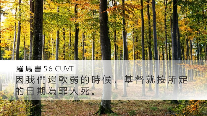 羅 馬 書 5:6 CUVT Bible Verse Image