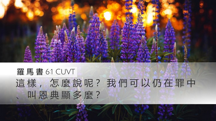 羅 馬 書 6:1 CUVT Bible Verse Image