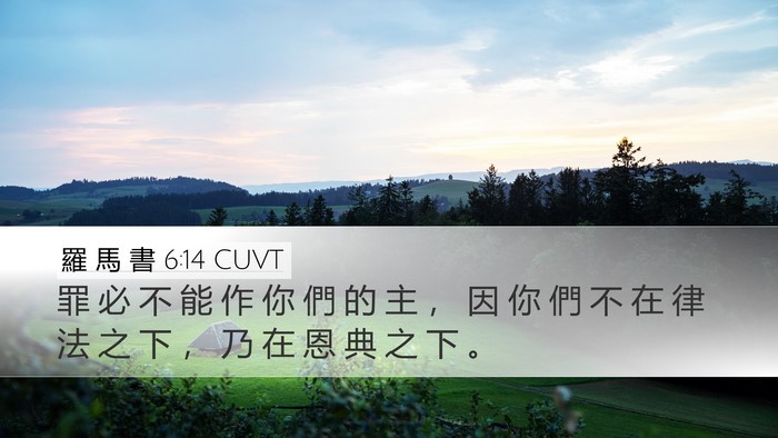 羅 馬 書 6:14 CUVT Bible Verse Image