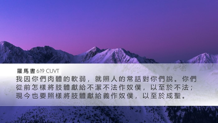羅 馬 書 6:19 CUVT Bible Verse Image