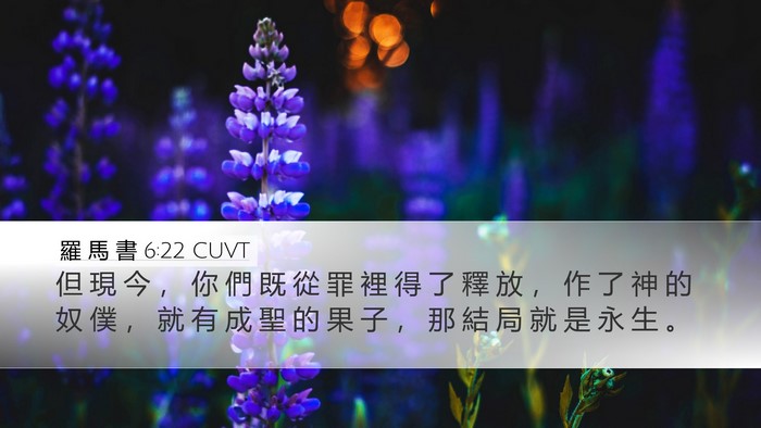 羅 馬 書 6:22 CUVT Bible Verse Image