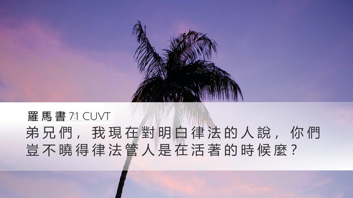 羅 馬 書 7:1 CUVT Desktop Wallpaper - 弟 兄 們 ， 我 現 在 對 明 白 律 法 - Desktop Bible Verse Wallpaper