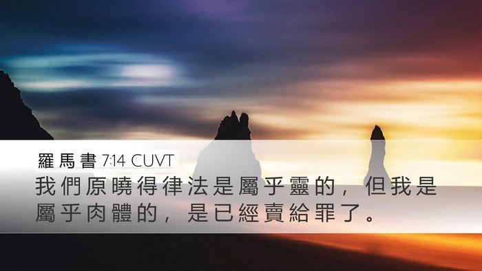羅 馬 書 7:14 CUVT Bible Verse Image