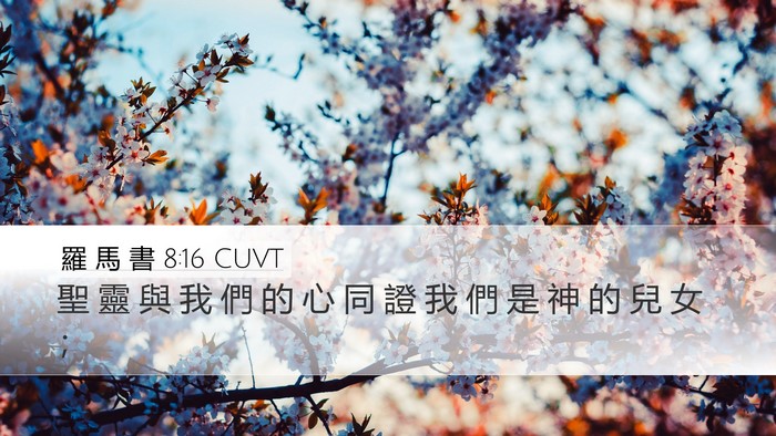 羅 馬 書 8:16 CUVT Bible Verse Image