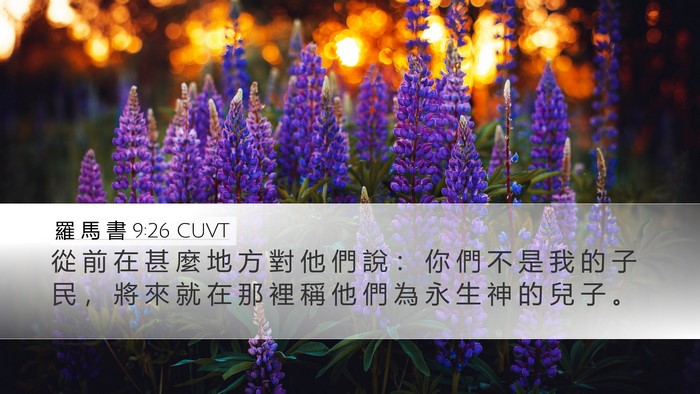 羅 馬 書 9:26 CUVT Desktop Wallpaper - 從 前 在 甚 麼 地 方 對 他 們 說 ： - Desktop Bible Verse Wallpaper