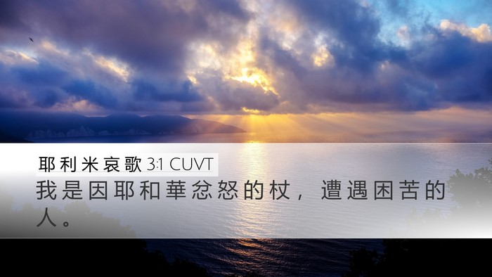 耶 利 米 哀 歌 3:1 CUVT Bible Verse Image