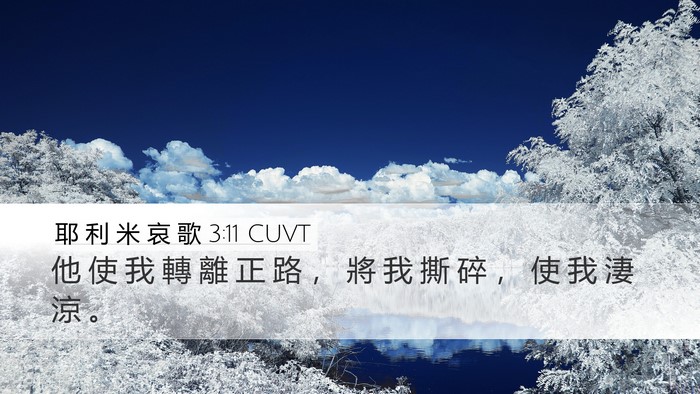 耶 利 米 哀 歌 3:11 CUVT Bible Verse Image