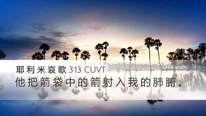 耶 利 米 哀 歌 3:13 CUVT Bible Verse Image