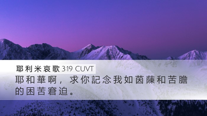 耶 利 米 哀 歌 3:19 CUVT Bible Verse Image