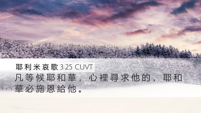耶 利 米 哀 歌 3:25 CUVT Bible Verse Image