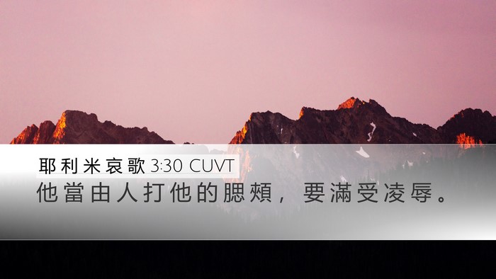 耶 利 米 哀 歌 3:30 CUVT Bible Verse Image