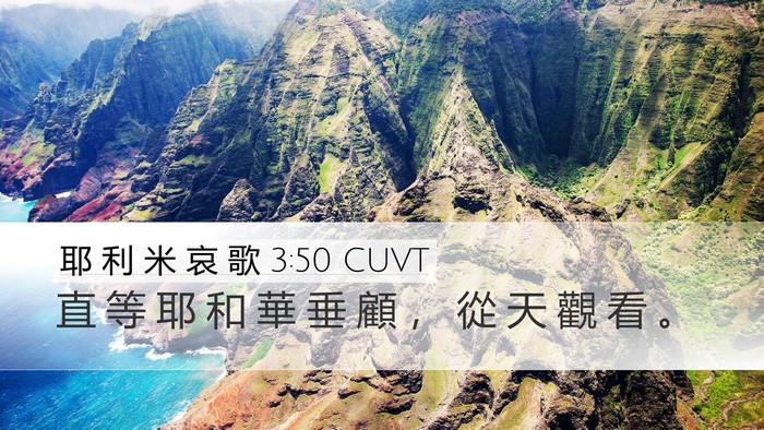耶 利 米 哀 歌 3:50 CUVT Bible Verse Image