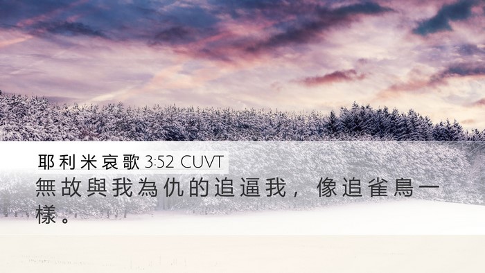 耶 利 米 哀 歌 3:52 CUVT Bible Verse Image