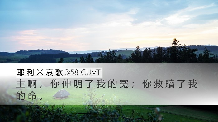 耶 利 米 哀 歌 3:58 CUVT Bible Verse Image