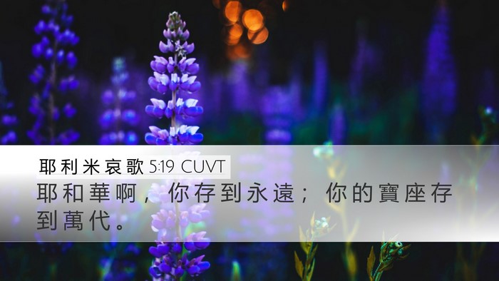 耶 利 米 哀 歌 5:19 CUVT Desktop Wallpaper - 耶 和 華 啊 ， 你 存 到 永 遠 ； 你 - Desktop Bible Verse Wallpaper