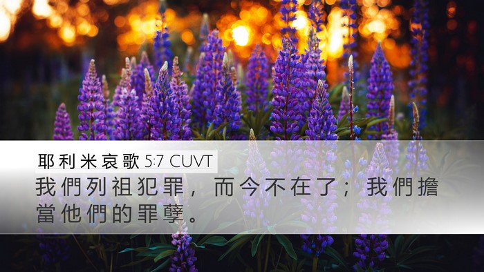 耶 利 米 哀 歌 5:7 CUVT Bible Verse Image