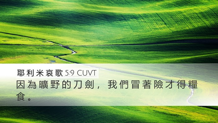 耶 利 米 哀 歌 5:9 CUVT Bible Verse Image
