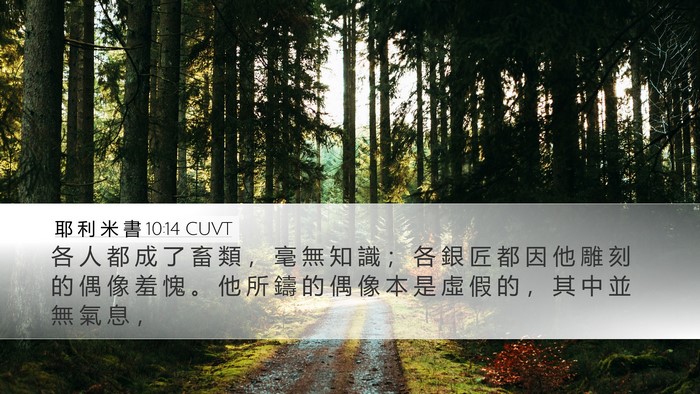 耶 利 米 書 10:14 CUVT Bible Verse Image