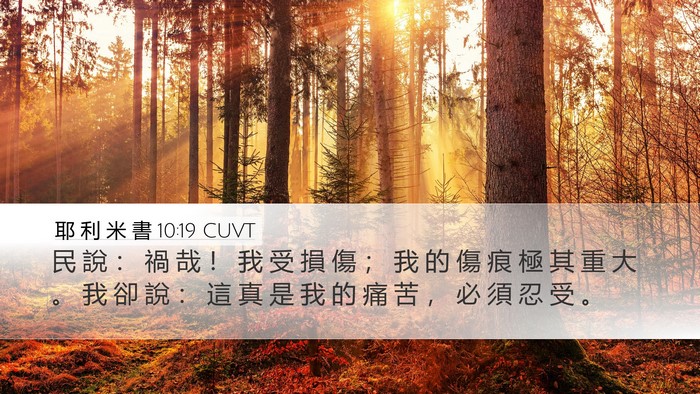 耶 利 米 書 10:19 CUVT Bible Verse Image