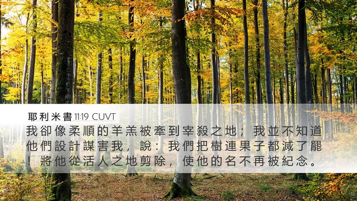 耶 利 米 書 11:19 CUVT Bible Verse Image