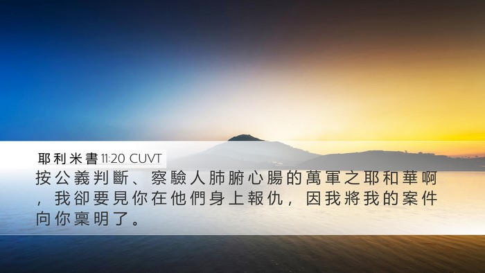 耶 利 米 書 11:20 CUVT Desktop Wallpaper - 按 公 義 判 斷 、 察 驗 人 肺 腑 心 - Desktop Bible Verse Wallpaper