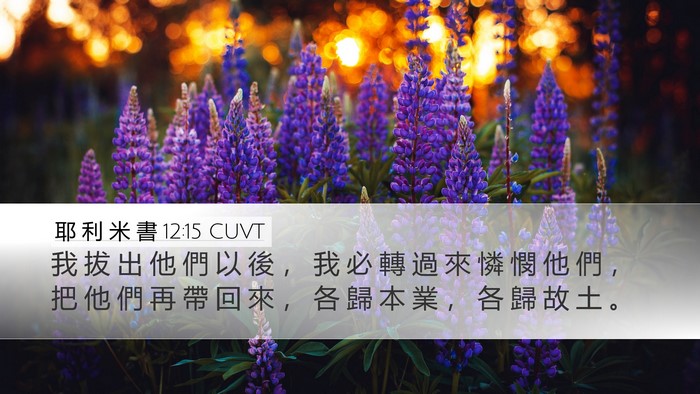 耶 利 米 書 12:15 CUVT Bible Verse Image
