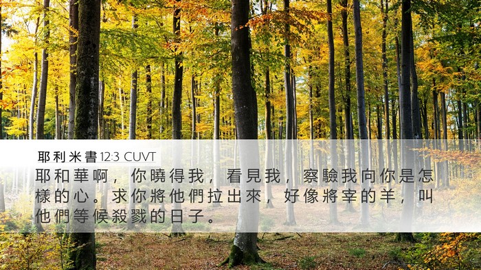 耶 利 米 書 12:3 CUVT Bible Verse Image