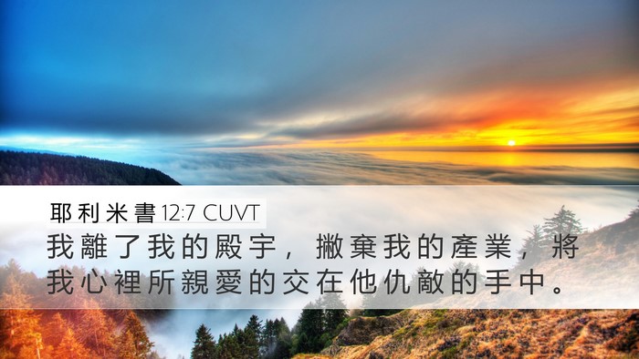 耶 利 米 書 12:7 CUVT Desktop Wallpaper - 我 離 了 我 的 殿 宇 ， 撇 棄 我 的 - Desktop Bible Verse Wallpaper