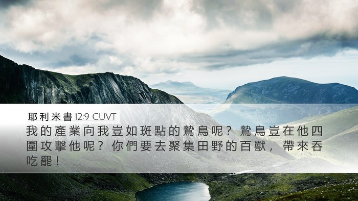 耶 利 米 書 12:9 CUVT Bible Verse Image