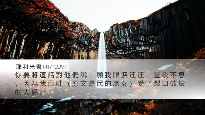 耶 利 米 書 14:17 CUVT Bible Verse Image
